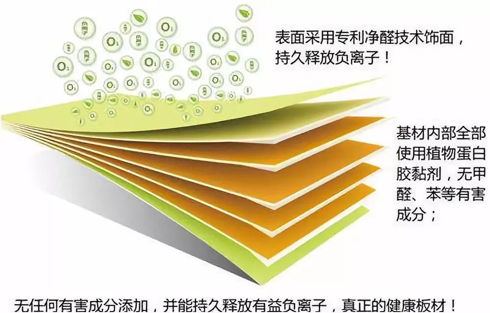 濃情端午,粽葉飄香 環(huán)保生活，健康你我